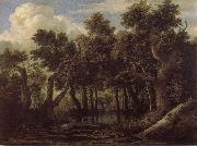 Jacob van Ruisdael Marsh in a Forest Germany oil painting artist